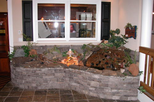 The pre-existing wall provided a basin for the indoor pond